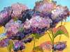 hydrangeas.jpg